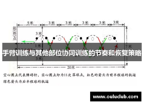 手臂训练与其他部位协同训练的节奏和恢复策略